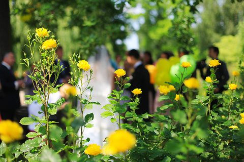 THAMES RIVER BOAT WEDDING London photography cruise035