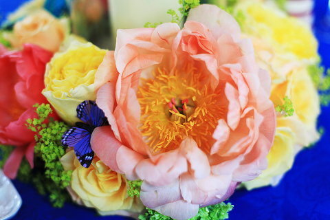 THAMES RIVER BOAT WEDDING London photography cruise092