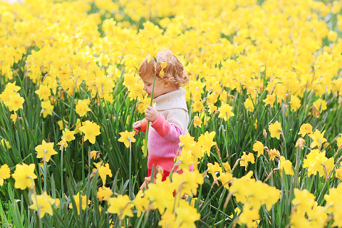 London_family_photoshoot_westminster_big_ben_outdoor-40
