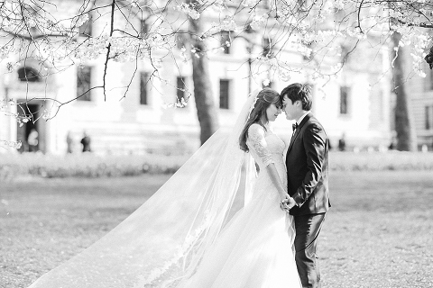 Wedding_photoshoot_London_Westminster_Bayswater_Big_Ben_Tower_Bridge_park_spring_cherry_blossom_101