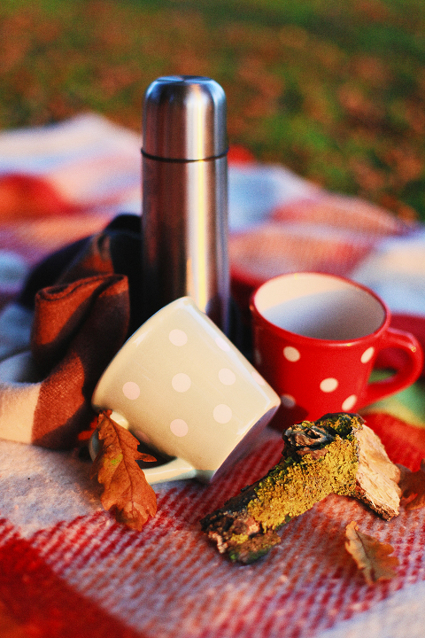 Richmond_park_love_engagement_photo_shoot_sunset_London_026