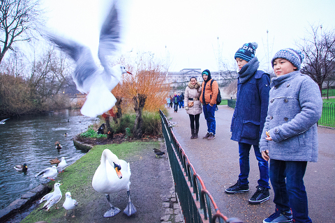london family outdoor big ben westminster photo shoot kids winter_13