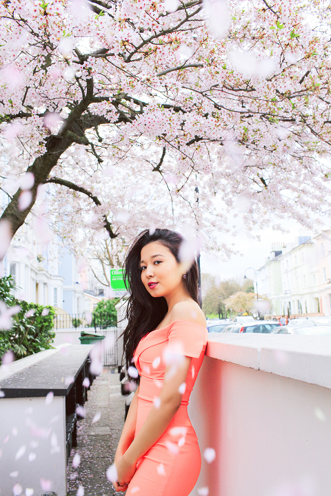 spring sakura cherry blossom fashion portrait asian beauty photo shoot london regents park _14