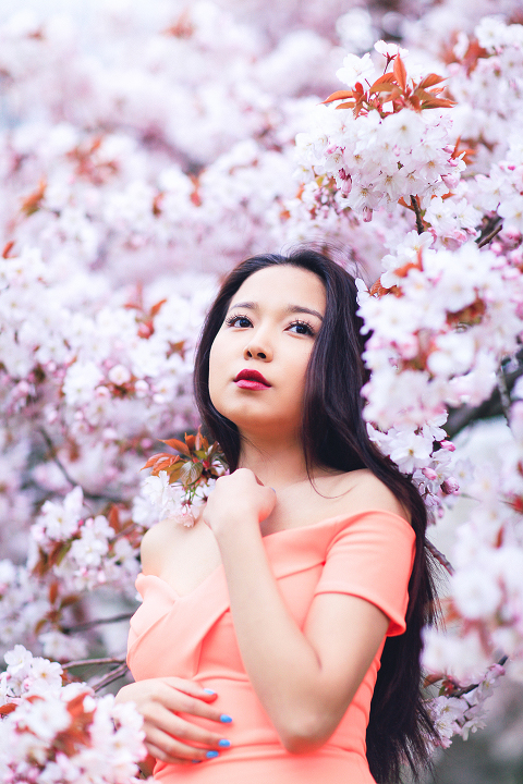 spring sakura cherry blossom fashion portrait asian beauty photo shoot london regents park _16