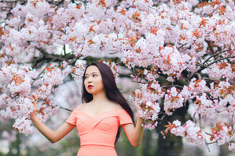 spring sakura cherry blossom fashion portrait asian beauty photo shoot london regents park _18