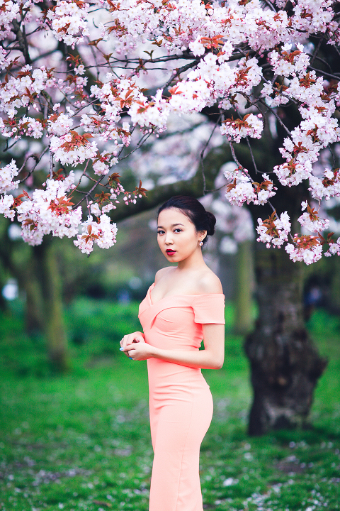 spring sakura cherry blossom fashion portrait asian beauty photo shoot london regents park _29