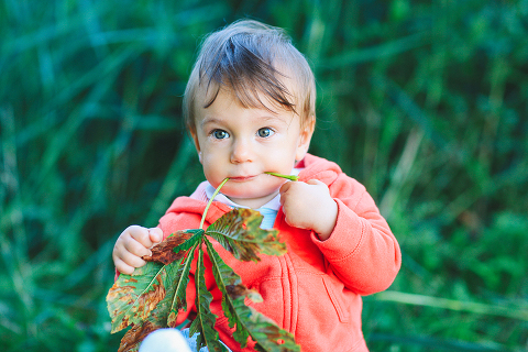 kids toddler children family autumn outdoor london photo shoot (7)