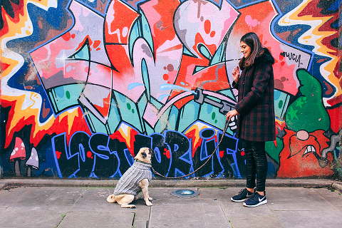 portrait pet dog pug photo shoot notting hill London max bone