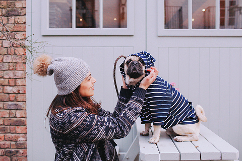 portrait pet dog pug photo shoot notting hill London max bone (10)
