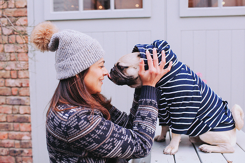 portrait pet dog pug photo shoot notting hill London max bone (11)
