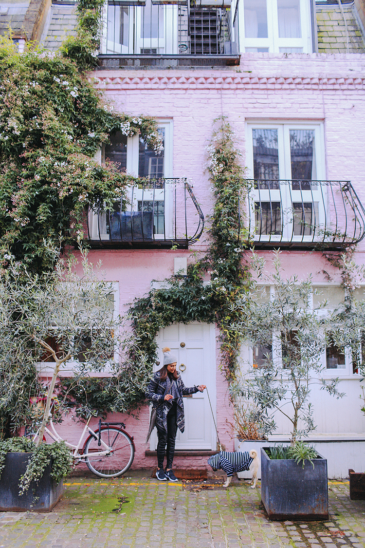 Lifestyle pet photography in Notting Hill, London Margarita Karenko