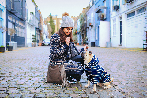 portrait pet dog pug photo shoot notting hill London max bone (21)