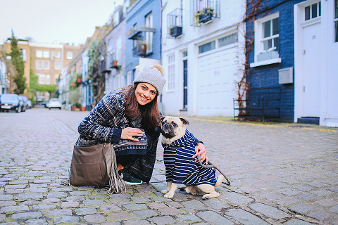portrait pet dog pug photo shoot notting hill London max bone (22)
