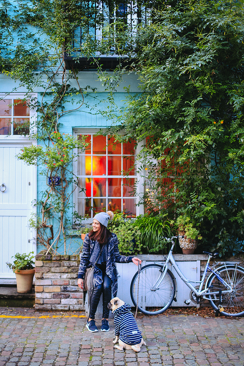 portrait pet dog pug photo shoot notting hill London max bone (24)
