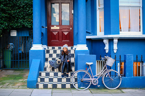 portrait pet dog pug photo shoot notting hill London max bone (27)