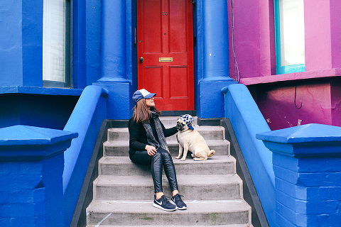 portrait pet dog pug photo shoot notting hill London max bone (7)