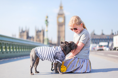 pets dog french bulldog London photo shoot spring westminster notting hill fanily harper and hugo accessories (10)