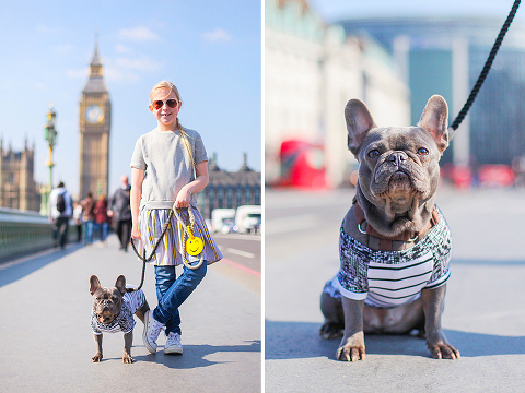 pets dog french bulldog London photo shoot spring westminster notting hill fanily harper and hugo accessories (11)