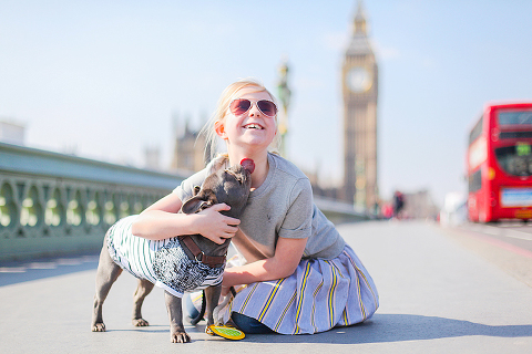 pets dog french bulldog London photo shoot spring westminster notting hill fanily harper and hugo accessories (12)