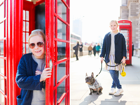 pets dog french bulldog London photo shoot spring westminster notting hill fanily harper and hugo accessories (14)