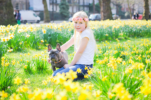 pets dog french bulldog London photo shoot spring westminster notting hill fanily harper and hugo accessories (19)
