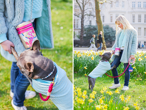 pets dog french bulldog London photo shoot spring westminster notting hill fanily harper and hugo accessories (22)