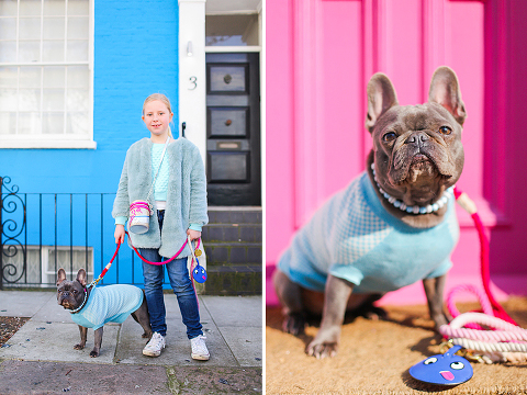 pets dog french bulldog London photo shoot spring westminster notting hill fanily harper and hugo accessories (28)