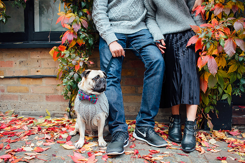 family couple pet dog pug autumn London Hyde park Kensington gardens photo shoot fall (10)