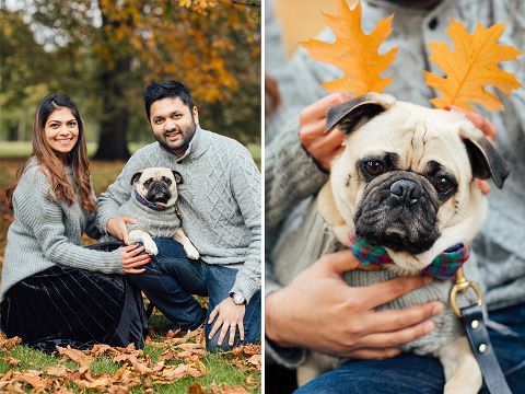 family couple pet dog pug autumn London Hyde park Kensington gardens photo shoot fall (23)