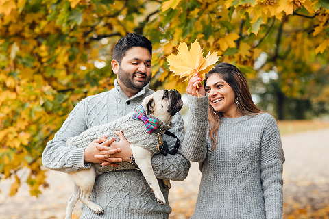 family couple pet dog pug autumn London Hyde park Kensington gardens photo shoot fall (27)