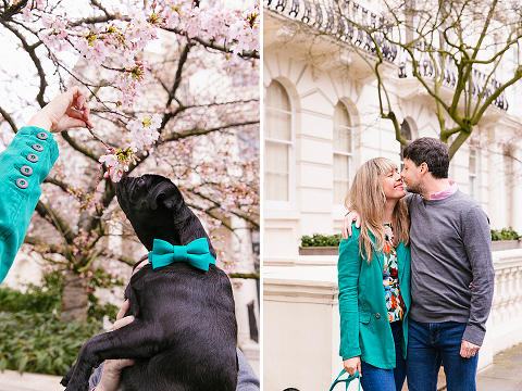 couples engagement pre wedding photo shoot london notting hill pet black pug (19)